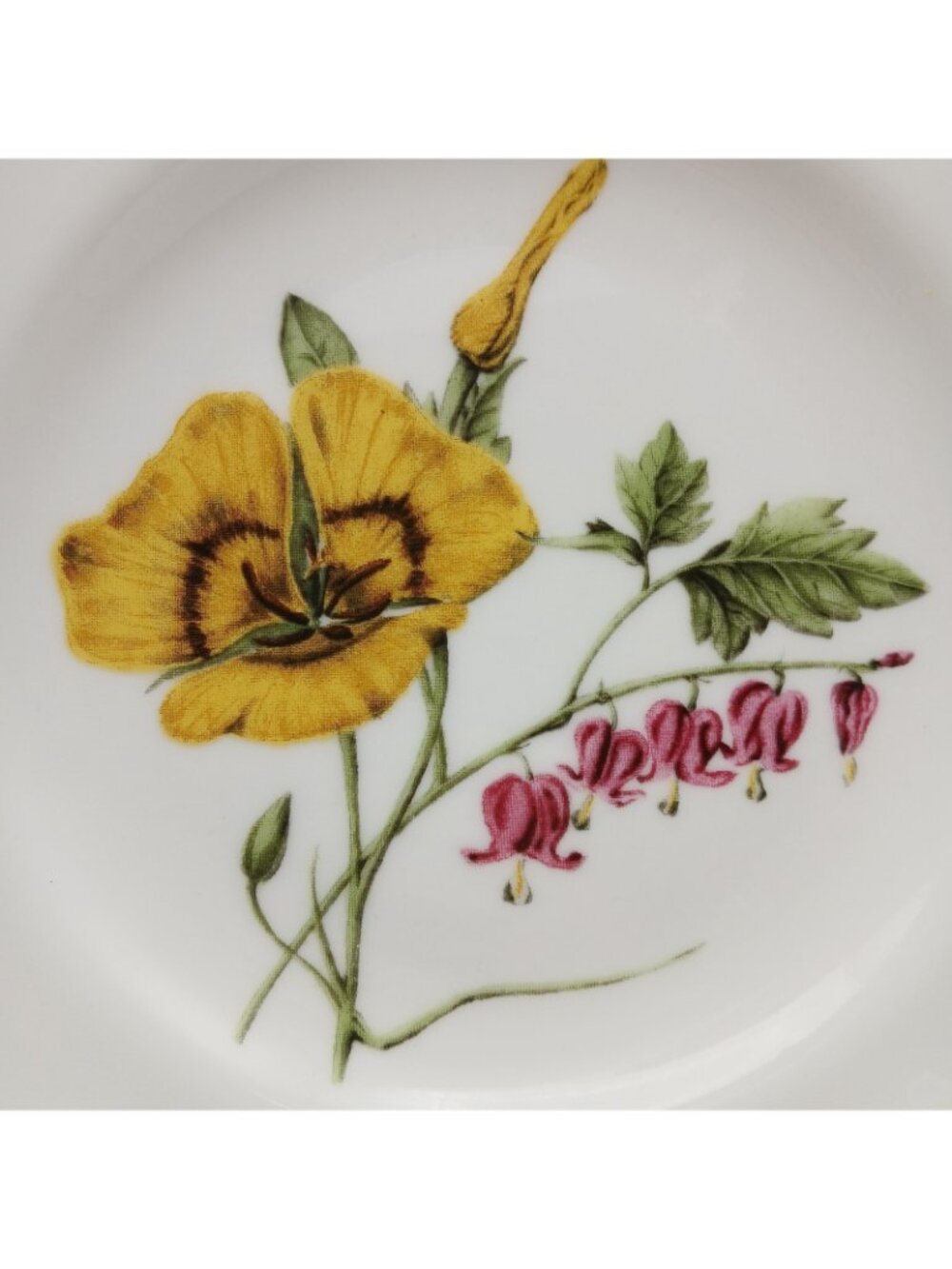 Biltmore Crochet Flower Salad Plates Set 4 Botanical Fine China 9” - Picture 7 of 10